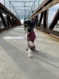 Red and Black Paw Print Flannel